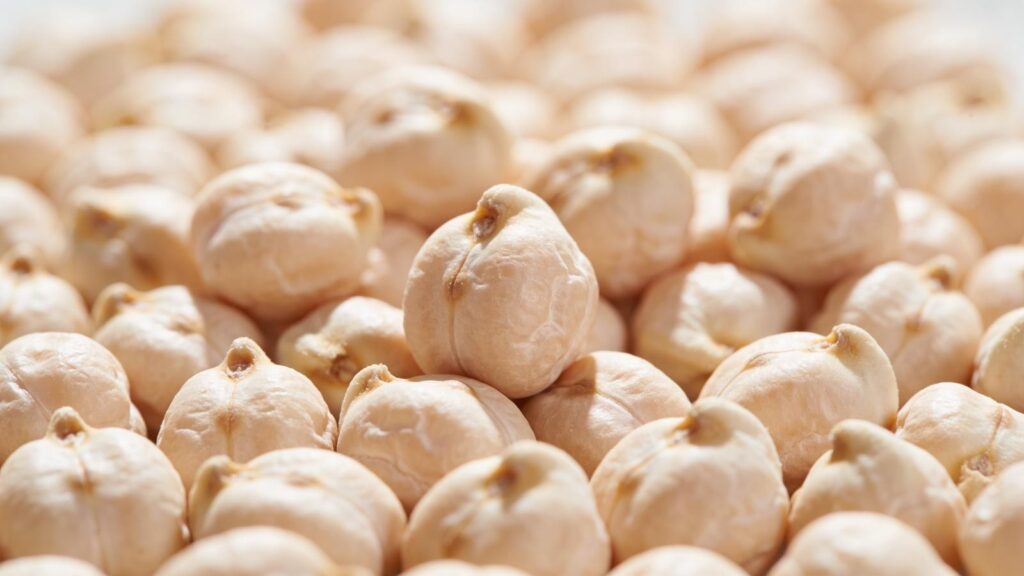 Beans Export In CAnada